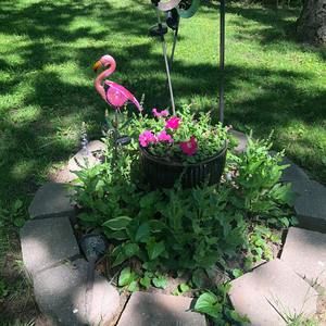 Meet your Posher, Pat